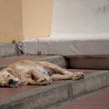 Andalusien_20150401-125750_8274.jpg