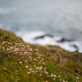 Irland_20161026-150002_6095.jpg