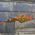 Irland_20161027-120308_6282.jpg