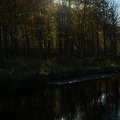 Irland_20161029-114703_6624.jpg