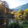 Irland_20161029-115156_6633.jpg