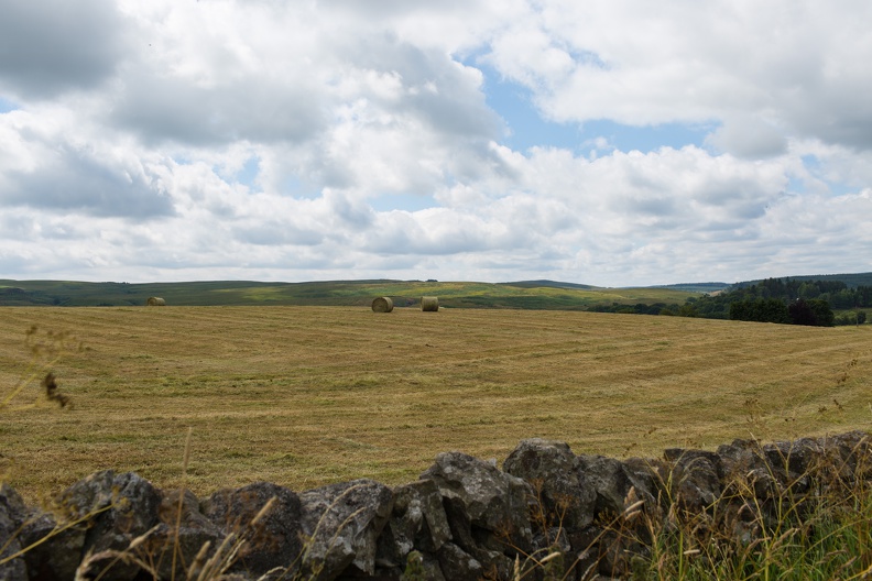 Scotland_20180712-125155_1445.jpg