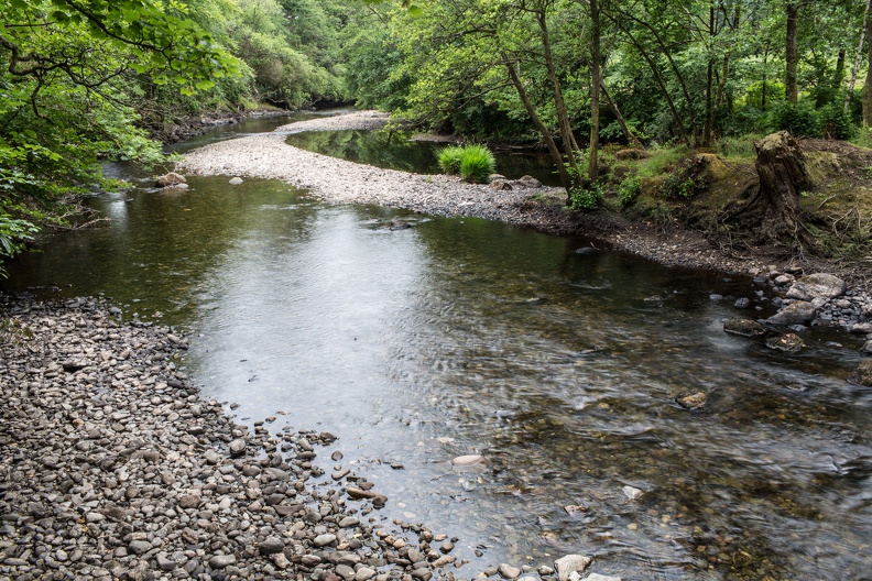 Scotland_20180713-104210_1552.jpg