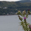 Scotland_20180714-132939_1827.jpg