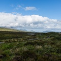 Scotland_20180716-110711_1873.jpg