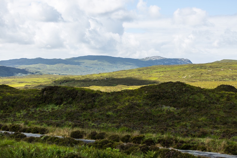 Scotland_20180716-111037_1878.jpg