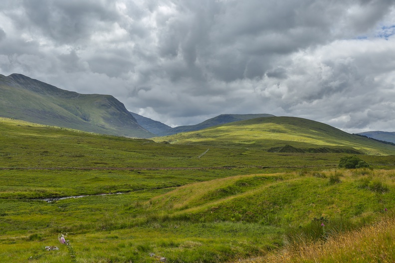 Scotland_20180716-131958_1882.jpg