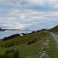Scotland_20180716-201155_1894.jpg