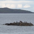 Scotland_20180717-103810_1936.jpg