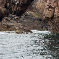 Scotland_20180717-110616_1972.jpg