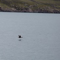 Scotland_20180717-112119_2000.jpg
