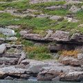 Scotland_20180717-114505_2037.jpg