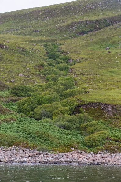 Scotland_20180717-114606_2042.jpg