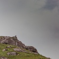 Scotland_20180717-115036_2051.jpg