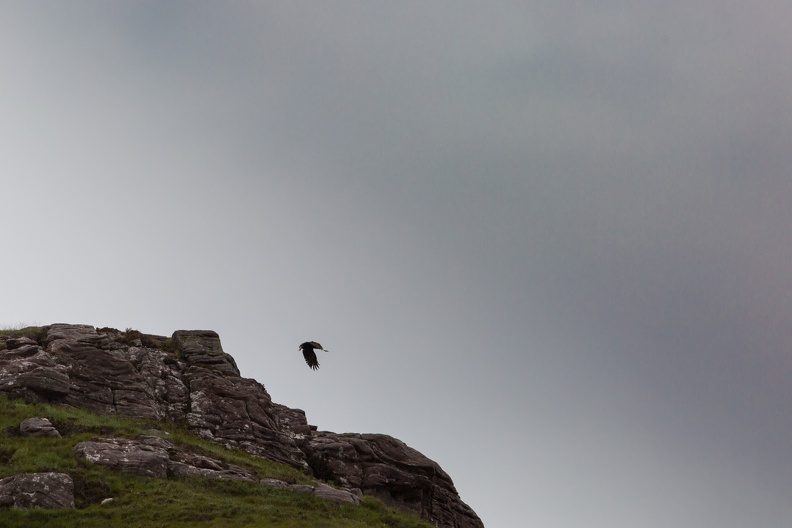 Scotland_20180717-115050_2055.jpg