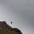 Scotland_20180717-115050_2055.jpg