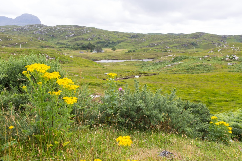 Scotland_20180717-140013_2132.jpg