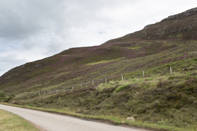 Scotland_20180718-113026_2315.jpg