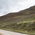 Scotland_20180718-113026_2315.jpg