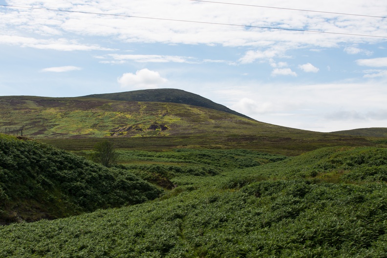 Scotland_20180719-145915_2409.jpg