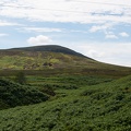 Scotland_20180719-145915_2409.jpg