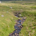 Scotland_20180719-150037_2411.jpg