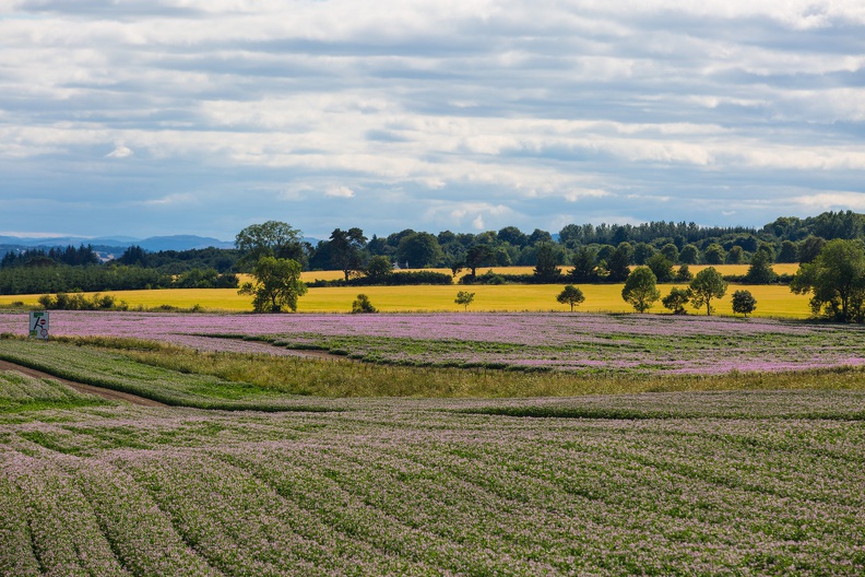 Scotland_20180719-152709_2415.jpg