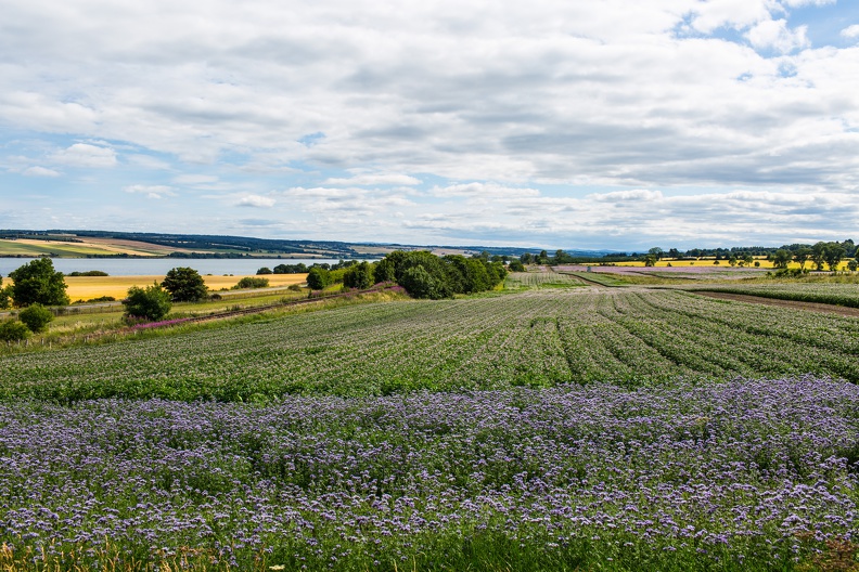 Scotland_20180719-153004_2418.jpg