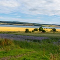 Scotland_20180719-153419_2438.jpg
