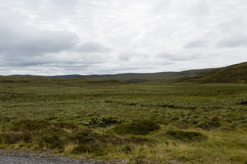 Scotland_20180721-101011_2475.jpg