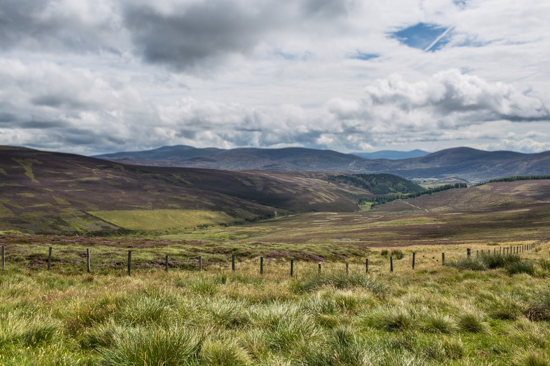 Scotland_20180721-120023_2493.jpg