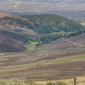 Scotland_20180721-122318_2500.jpg