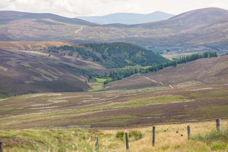 Scotland_20180721-122330_2502.jpg