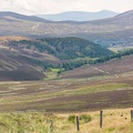 Scotland_20180721-122330_2502.jpg