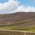 Scotland_20180721-124458_2503.jpg