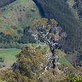 Newzealand_20191030-145551_4343.jpg