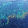 Newzealand_20191030-163551_163551.jpg
