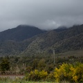Newzealand_20191101-124959_4426.jpg