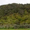 Newzealand_20191101-130437_4435.jpg