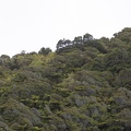 Newzealand_20191101-130745_4443.jpg