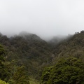 Newzealand_20191101-134300_4460.jpg