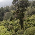 Newzealand_20191101-134403_4464.jpg