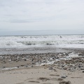 Newzealand_20191101-144803_4501.jpg