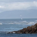 Newzealand_20191101-181442_4556.jpg