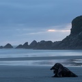 Newzealand_20191101-203358_4587.jpg