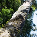 Newzealand_20191102-150220_4614.jpg