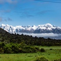 Newzealand_20191102-174627_4661.jpg