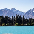 Newzealand_20191103-172413_4717.jpg