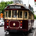 Newzealand_20191105-124416_4861.jpg