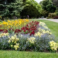 Newzealand_20191105-125026_4871.jpg